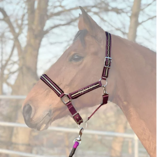 "Protection Star" Set – Bild 8